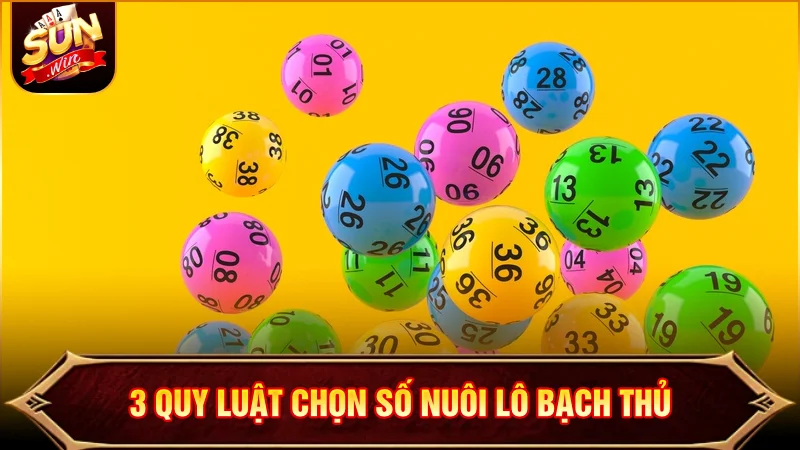3 quy luật chọn số khi nuôi Bạch Thủ lô