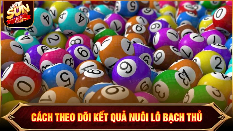 Cách dõi theo kết quả khi chọn Bạch Thủ