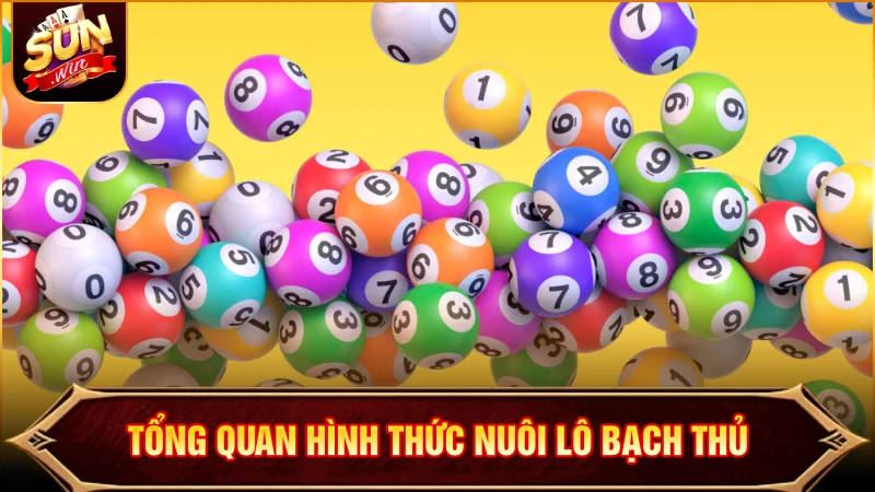 Khái niệm về hình thức nuôi lô Bạch Thủ