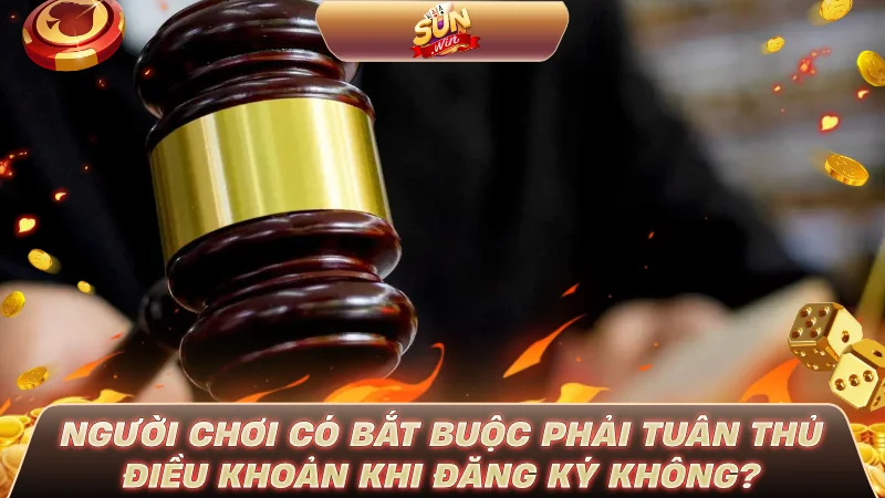 Người chơi có bắt buộc phải tuân thủ điều khoản khi đăng ký không?